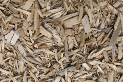 biomass boilers Whifflet